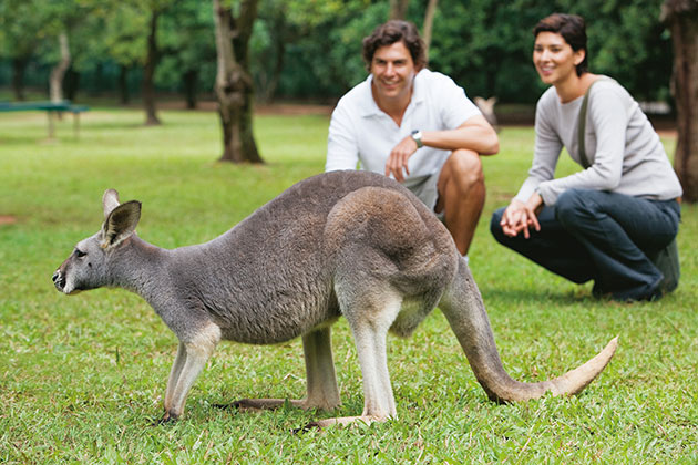 Australia Zoo